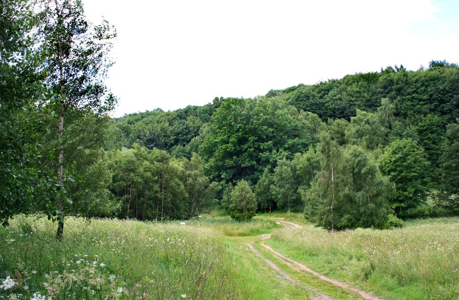 Paesaggio presso Pyšná, parte del comune di Vysoká Pec, Repubblica Ceca