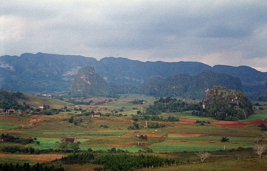 Valle verde di Viñales
