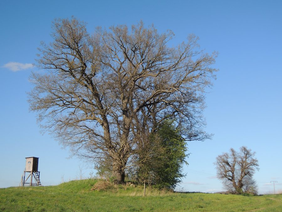 La tomba megalitica di Schabow