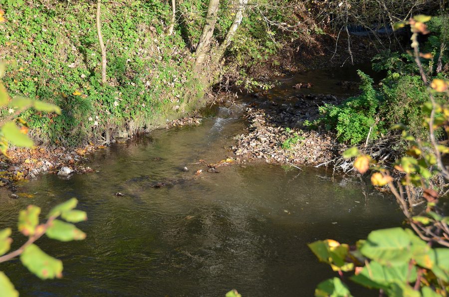 Sbocco del Talbach nell’Eyach presso Grosselfingen