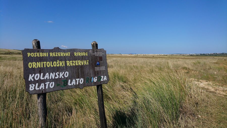 Riserva ornitologica Kolansko Blato sull'isola di Pag