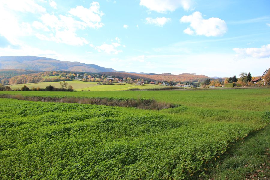 Vista su Siegenfeld nel comune di Heiligenkreuz, Bassa Austria