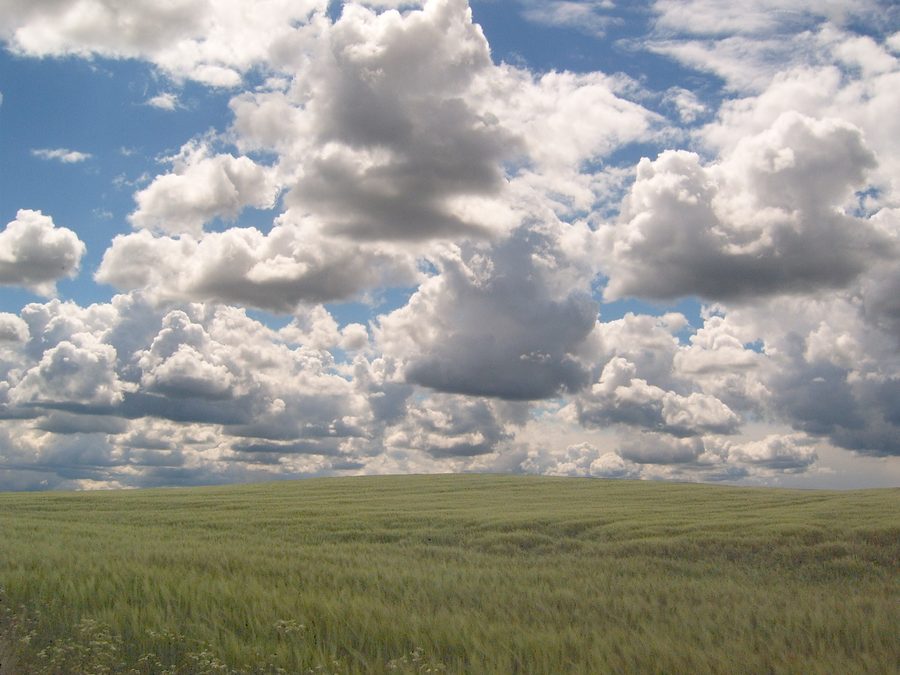 Paesaggio aperto con cielo e campi nell'Uckermark