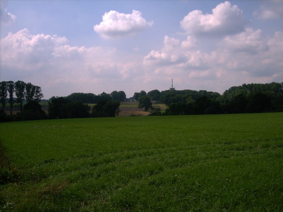 Paesaggio della Geest di Osterholz presso Wallhöfen nel comune di Vollersode