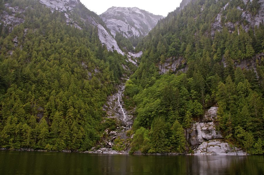 Paesaggio nel Regional District di Kitimat-Stikine con montagne costiere e ambiente boschivo