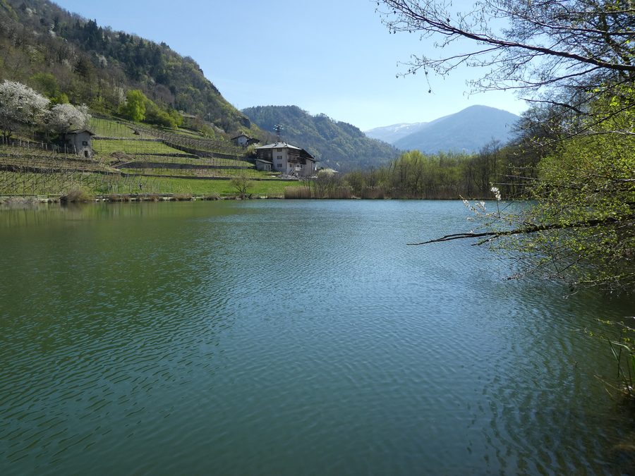 Lago di Madrano presso Pergine Valsugana in Trentino
