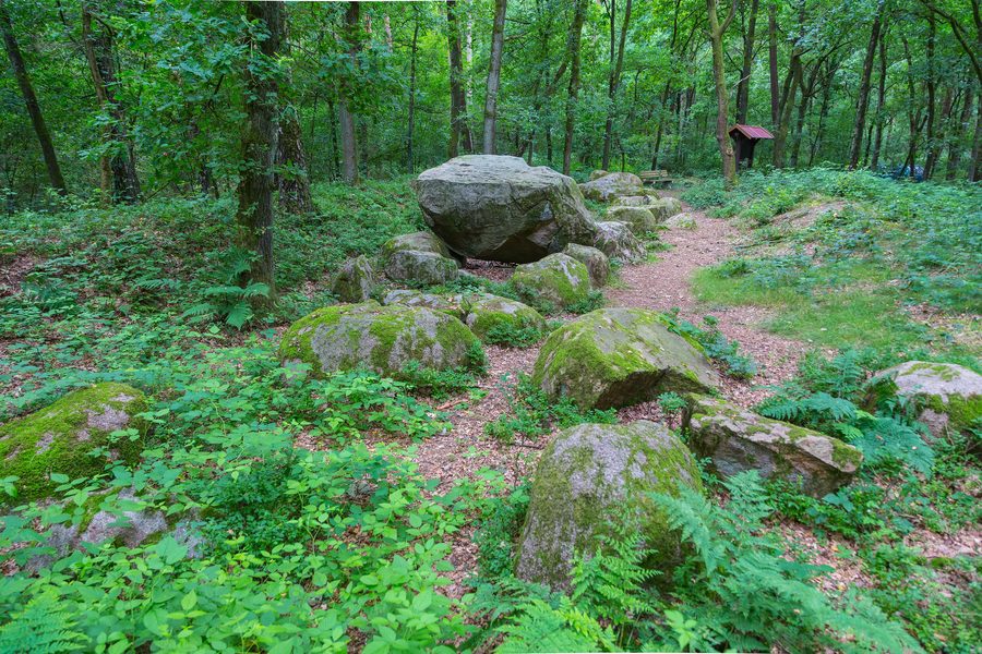 Tomba megalitica nel bosco di Alt Freren vicino a Freren, in Bassa Sassonia