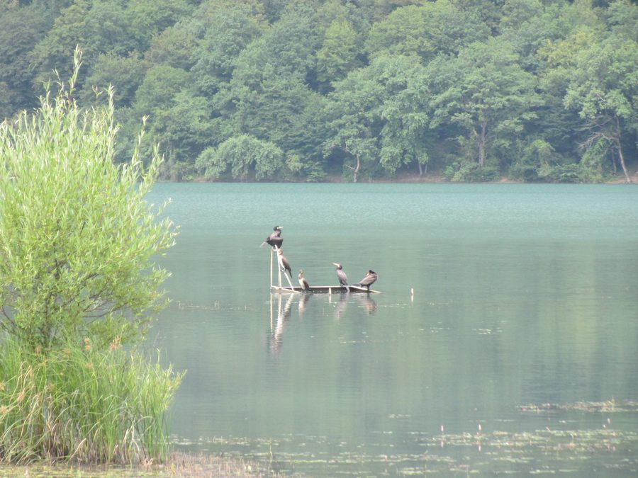 Lago Nohur presso Qabala