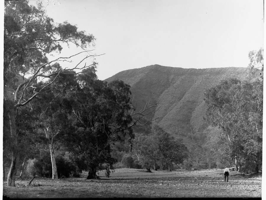 Paesaggio arido delle Flinders Ranges ad Aroona Heights vicino a Leigh Creek
