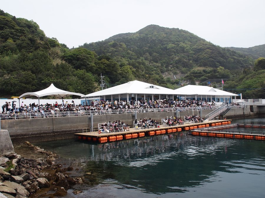 Tsukumi Dolphin Island a Tsukumi, Ōita, Giappone