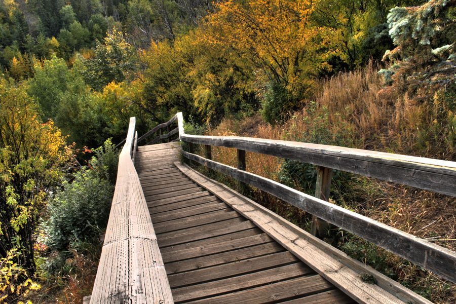 Scala di legno che scende nella valle del North Saskatchewan River a Edmonton.
