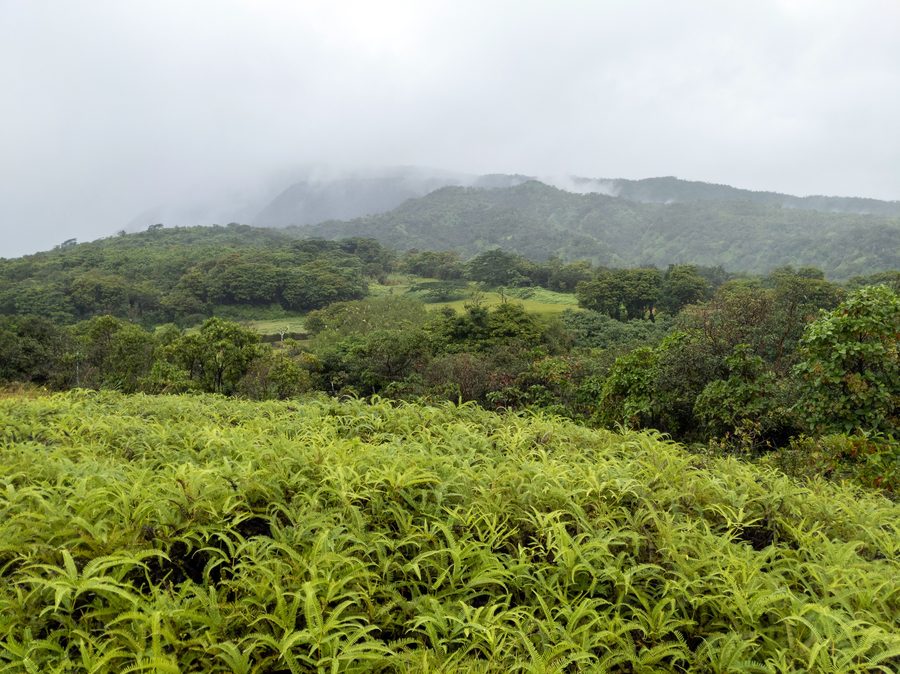 Tahiti in Polinesia francese