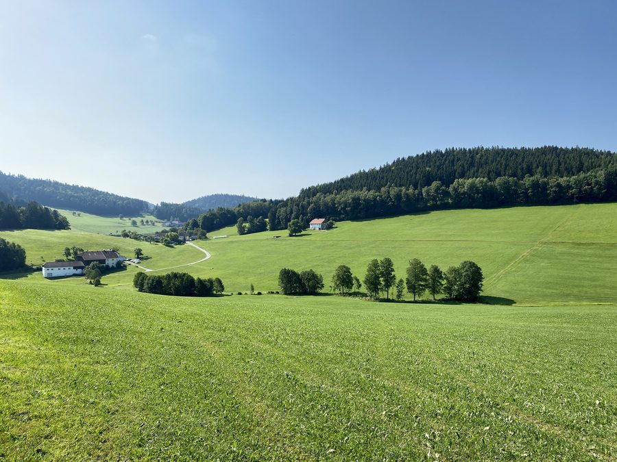 Vista nella valle del Schwalsödter Bach nel Mühlviertel collinare