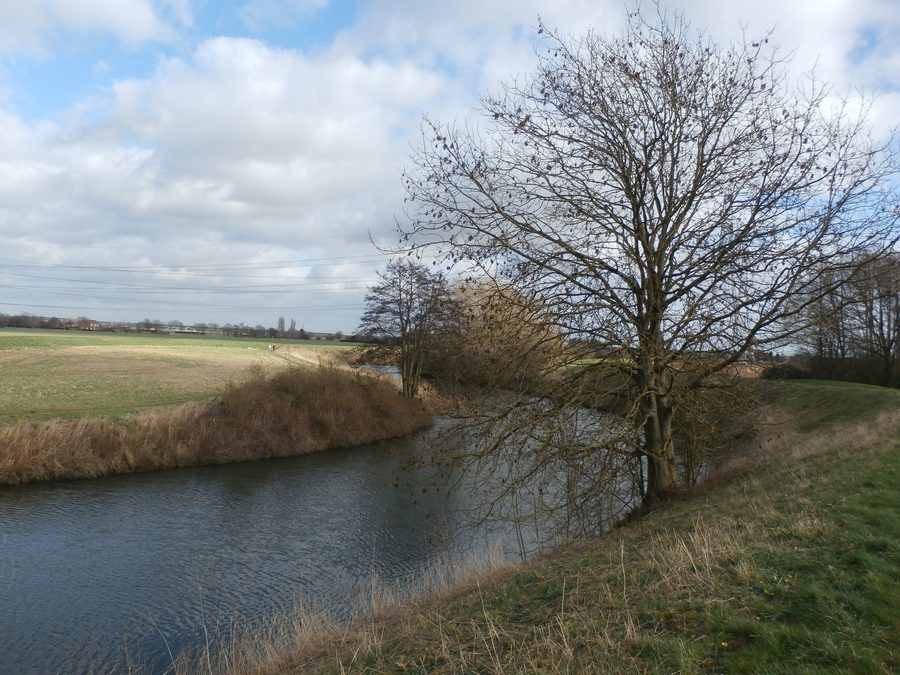 Il River Idle a Misterton Soss