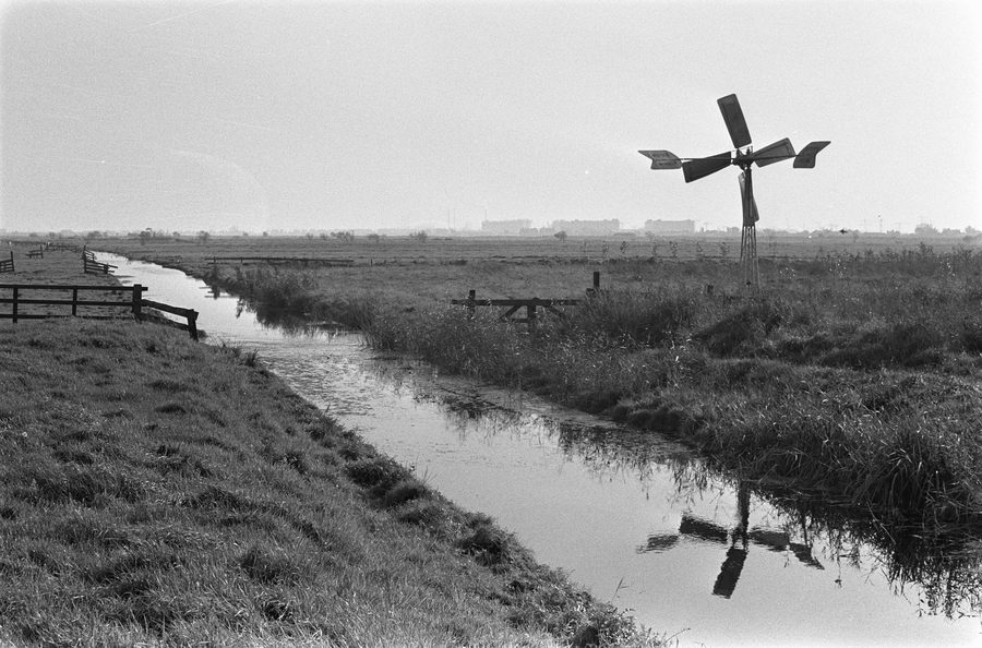 Paesaggio di polder aperto nell’area ricreativa Het Twiske presso Landsmeer