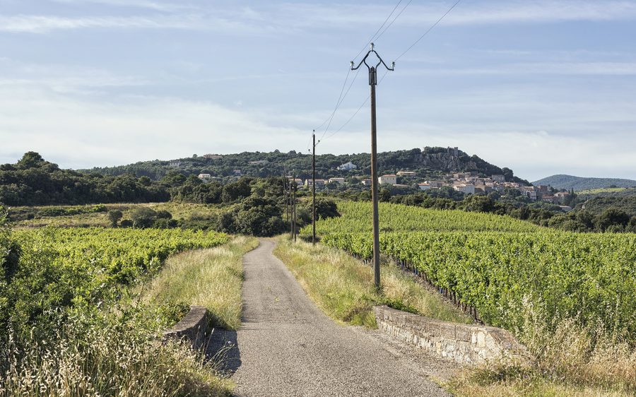 La D136E8 in mezzo ai vigneti e il villaggio di Roquessels nell'Hérault