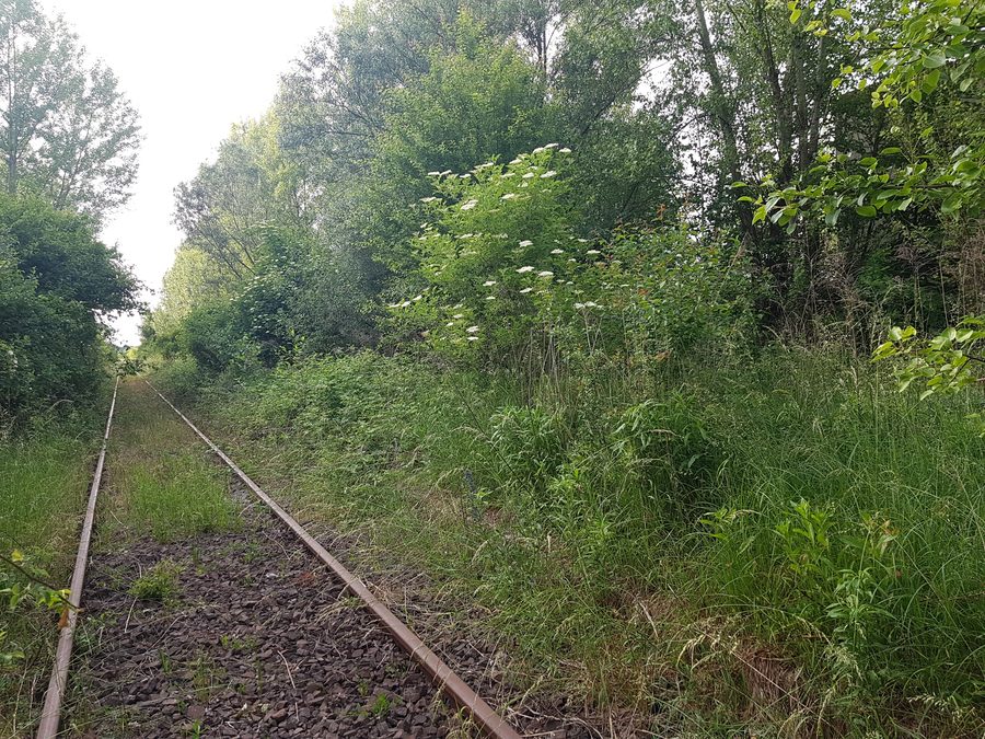 Area della ex stazione ferroviaria di Syrynia nel 2021