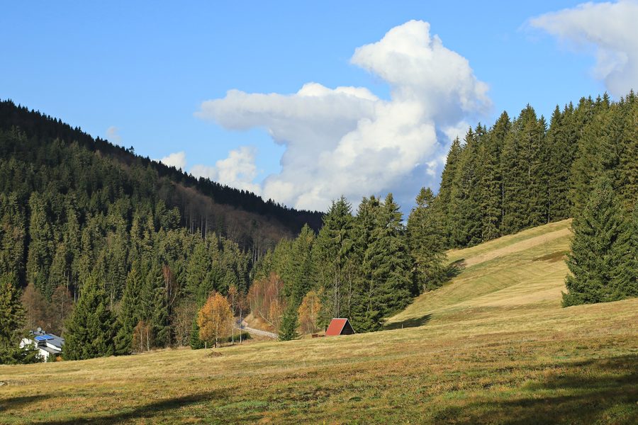 Vista dal punto di sosta sul sentiero di cresta a Wildenthal sul paesaggio dei Monti Metalliferi