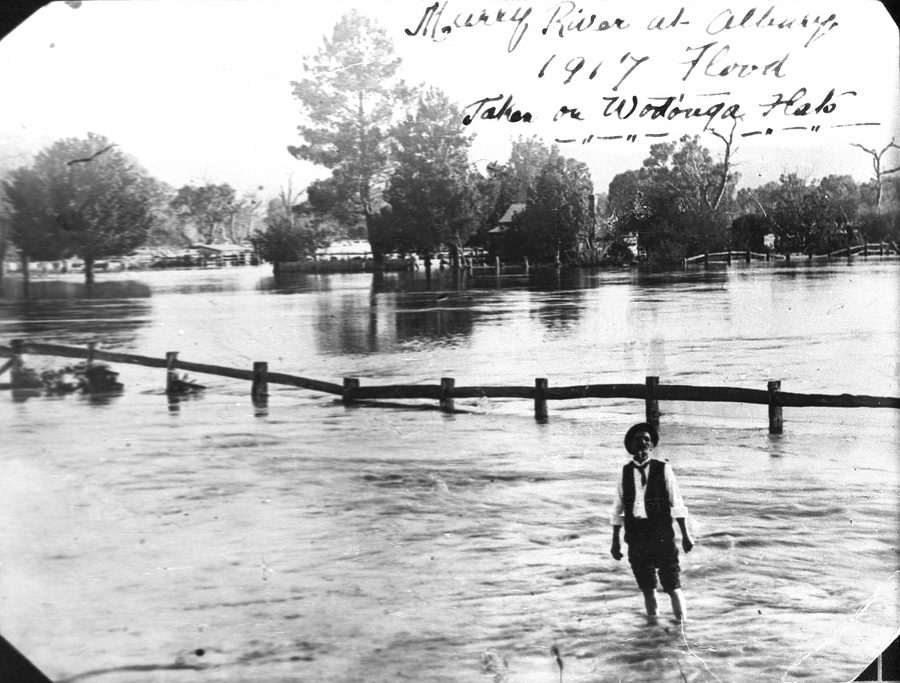 Il Murray River in piena nelle pianure di Albury e Wodonga nel 1917