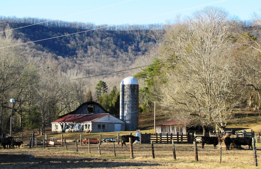 Valley View Farm a Harriman con Walden Ridge sullo sfondo