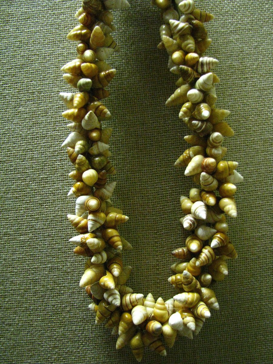 Ghirlanda di conchiglie di lumaca terrestre associata alla regina Liliʻuokalani, esposta al Bishop Museum di Honolulu