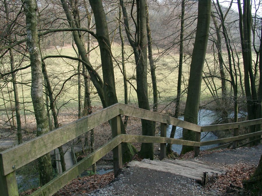 Scala di un sentiero lungo la Düssel nella Neandertal presso Erkrath e Mettmann