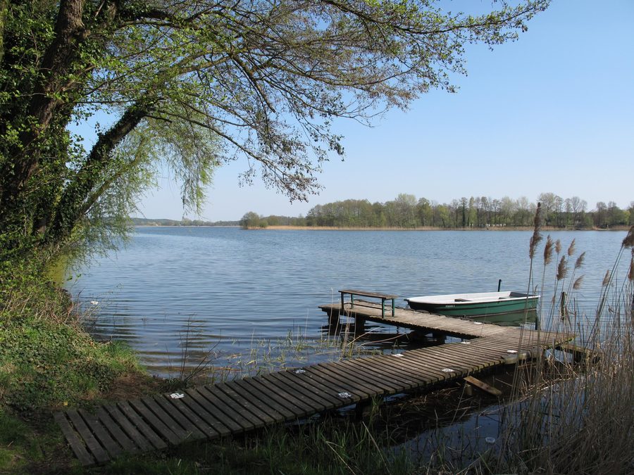 Vista sul Grosser Seddiner See nel Brandeburgo