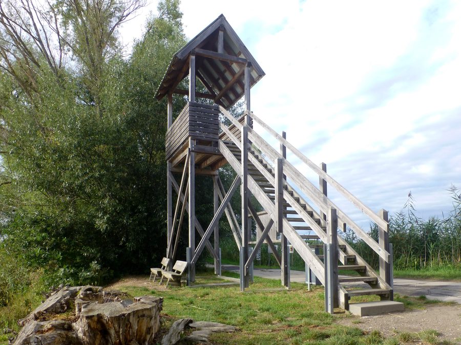 Torre di osservazione sulla sponda orientale dell’Altrheinsee a nord di Eich in Renania d'Assia