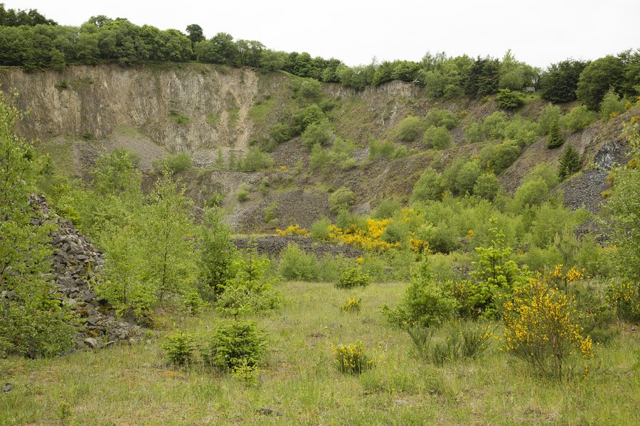 Paesaggio primaverile nell’area naturale protetta „Hochbermel“ in Renania-Palatinato.