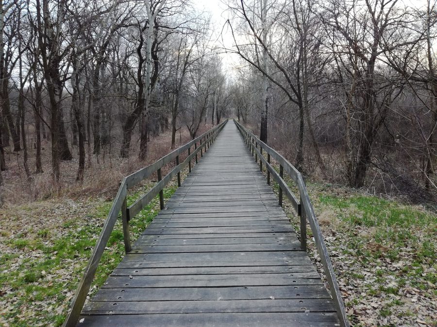 Ponte di legno nel parco Adica vicino a Vukovar, Croazia