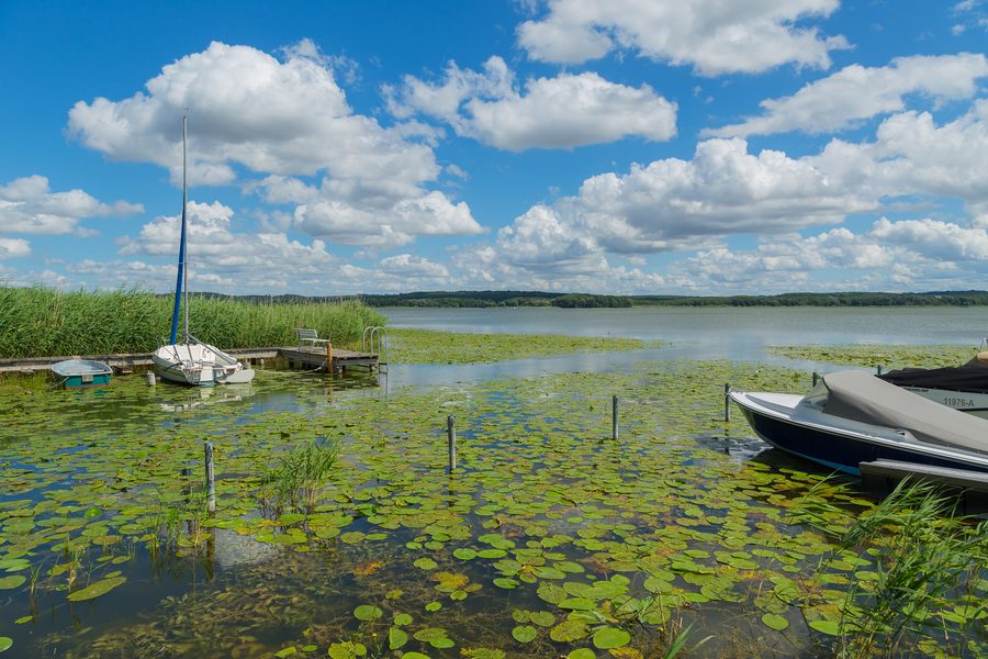 Vista sul Malchiner See presso Bülow nel circondario di Rostock