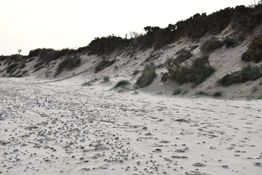 Dune di sabbia sulla spiaggia di Hemsby