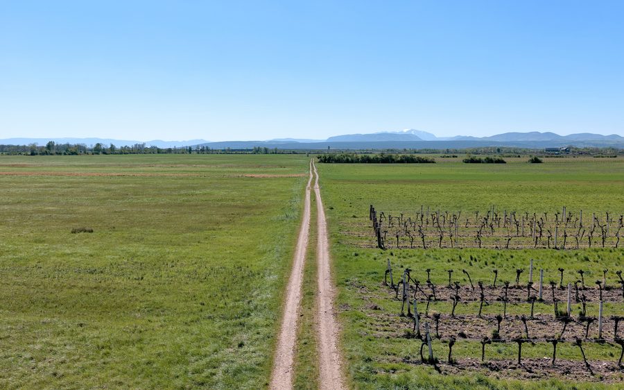 Sentiero rurale tra i prati nel comune di Günselsdorf in Bassa Austria