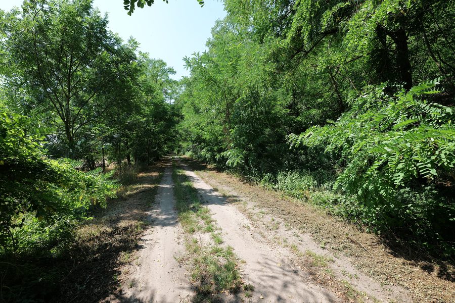 Paesaggio nell’Oderbruch con prati magri e i pendii del Reitweiner Sporn