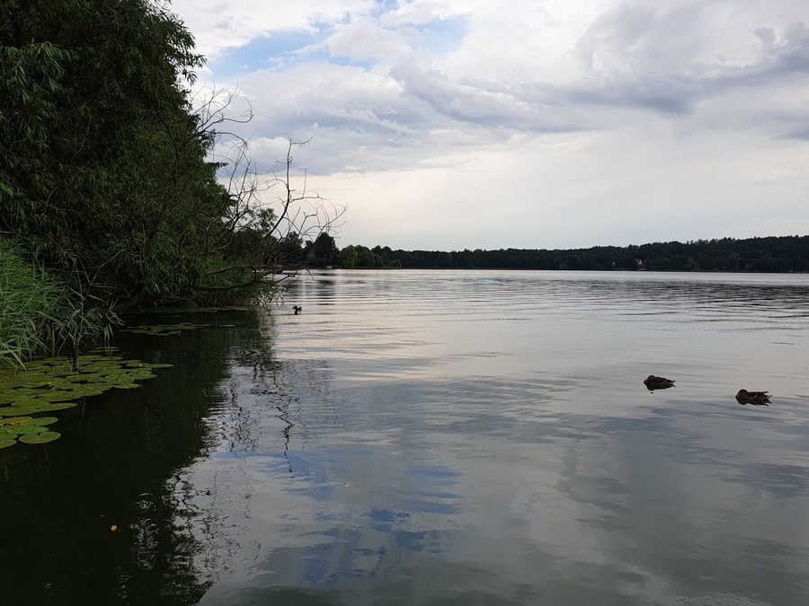 Lago Czos presso Mrągowo nel paesaggio lacustre della Varmia-Masuria.