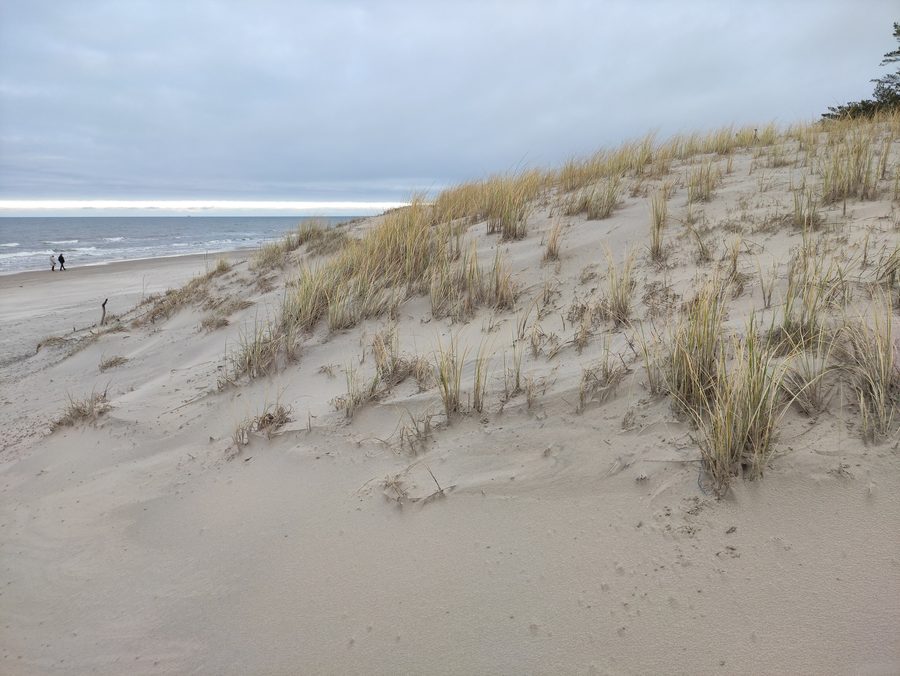 Spiaggia sulla Mierzeja Sarbska presso Łeba