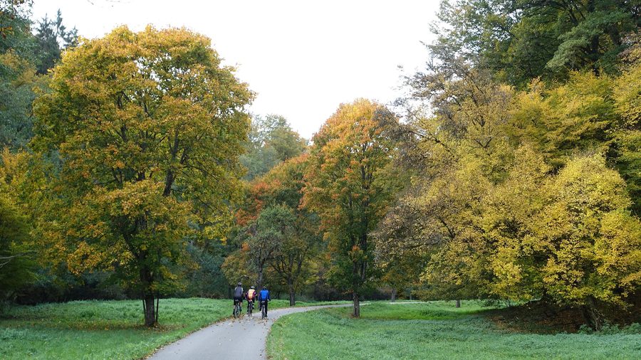 Gruppo di ciclisti nella valle Goldersbachtal nel Parco Naturale dello Schönbuch in autunno