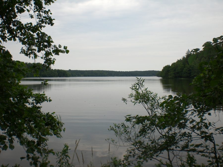 Lago Sianowskie nella regione dei laghi casciubi