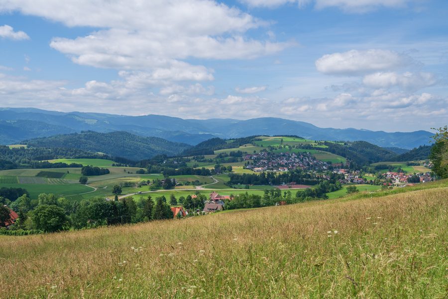 Vista su Sankt Peter nell’Alta Foresta Nera, immersa nel paesaggio della Foresta Nera