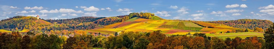 Il castello di Wildeck sopra Abstatt e l'alta valle dello Schozach
