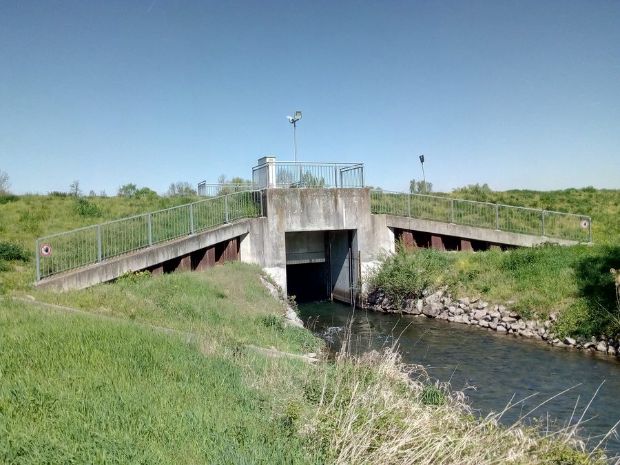Canale della pianura del Reno presso lo sbocco del polder Söllingen-Greffern vicino a Hügelsheim