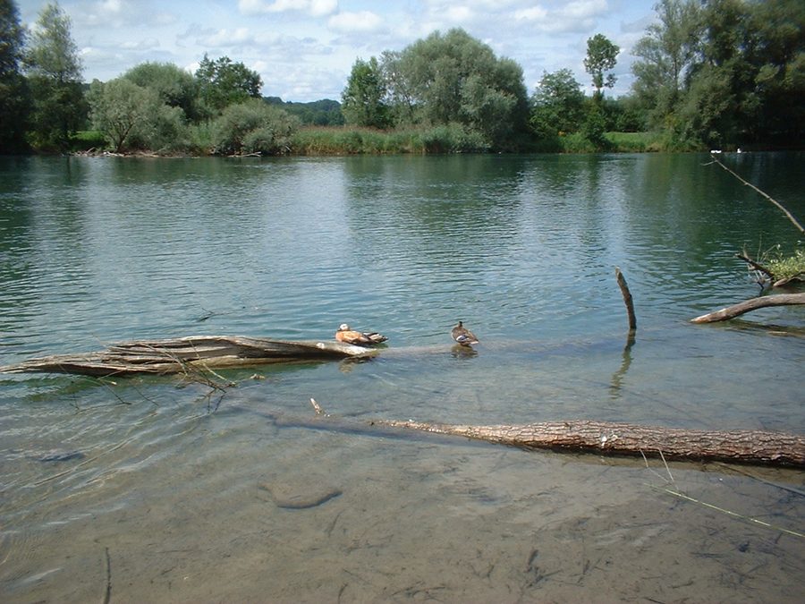 Flachsee nel Canton Argovia