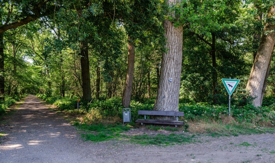 Bosco alla Stemmesheide presso i laghi di Nettetal a Nettetal