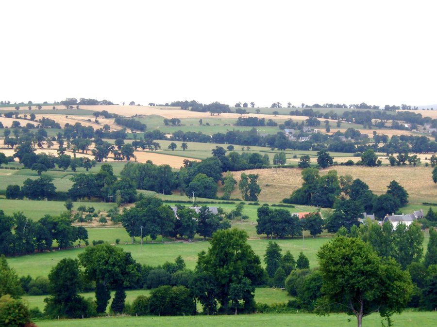 Paesaggio rurale idilliaco del bocage nella Bassa Normandia