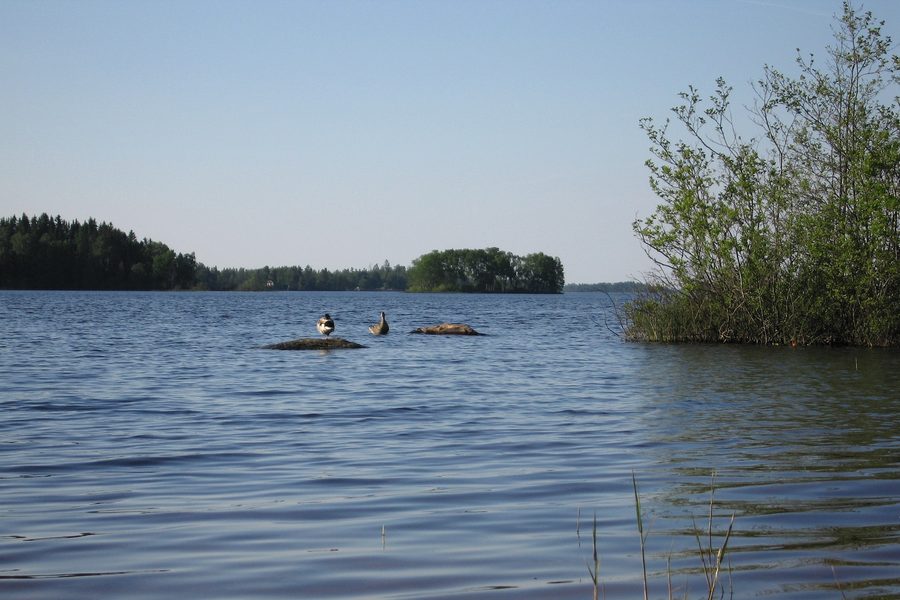 Lago Möckeln presso Älmhult nello Småland