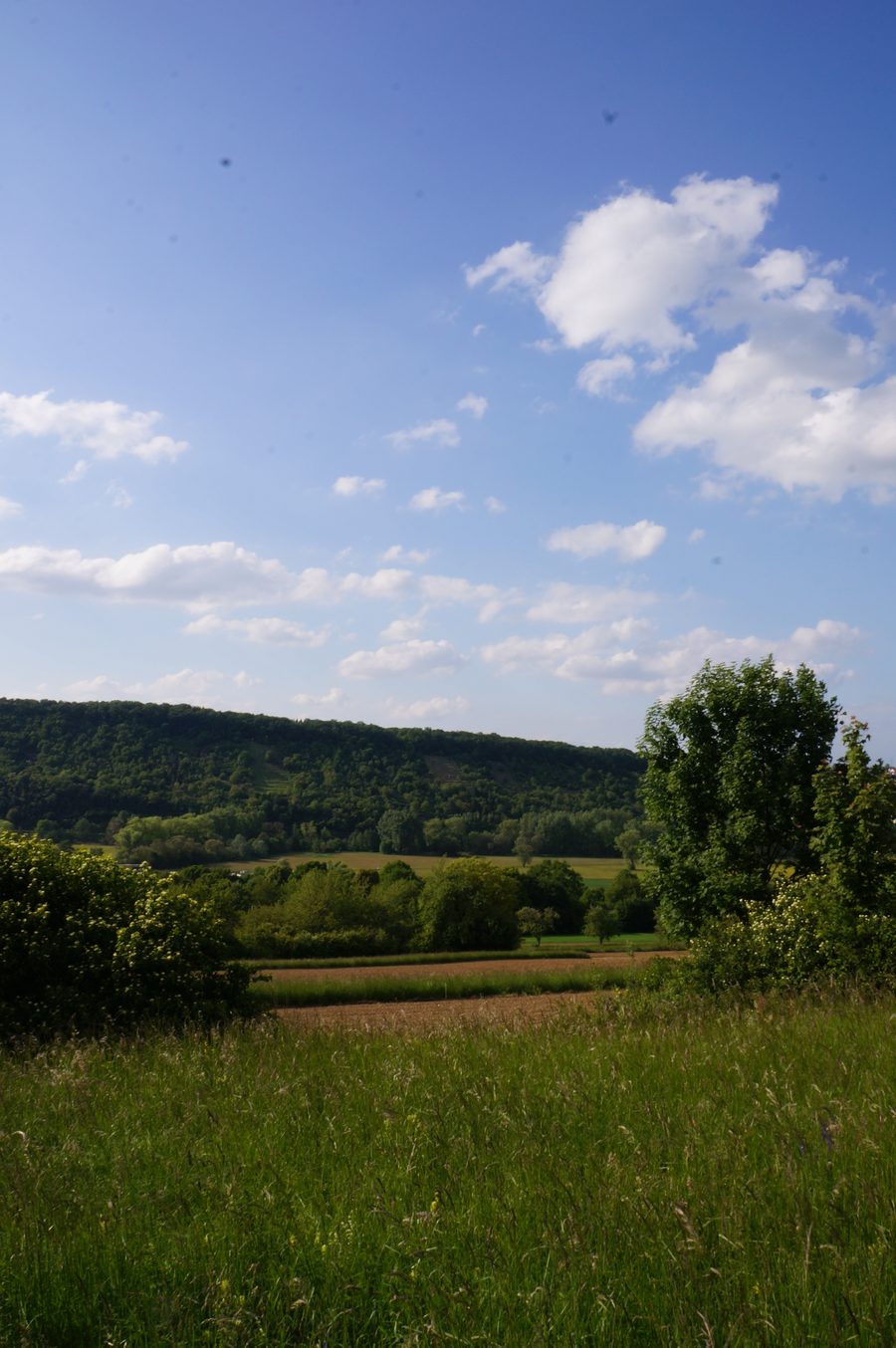 Vista sulla valle dell’Enz tra Niefern e Mühlacker nel distretto dell’Enz