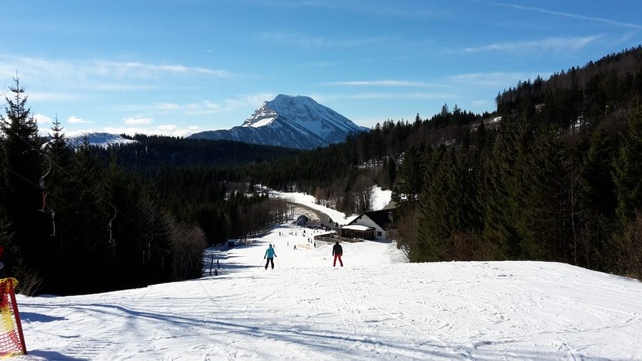 Vista dal Turmkogel vicino a Puchenstuben sul paesaggio montano boscoso con l'Ötscher sullo sfondo