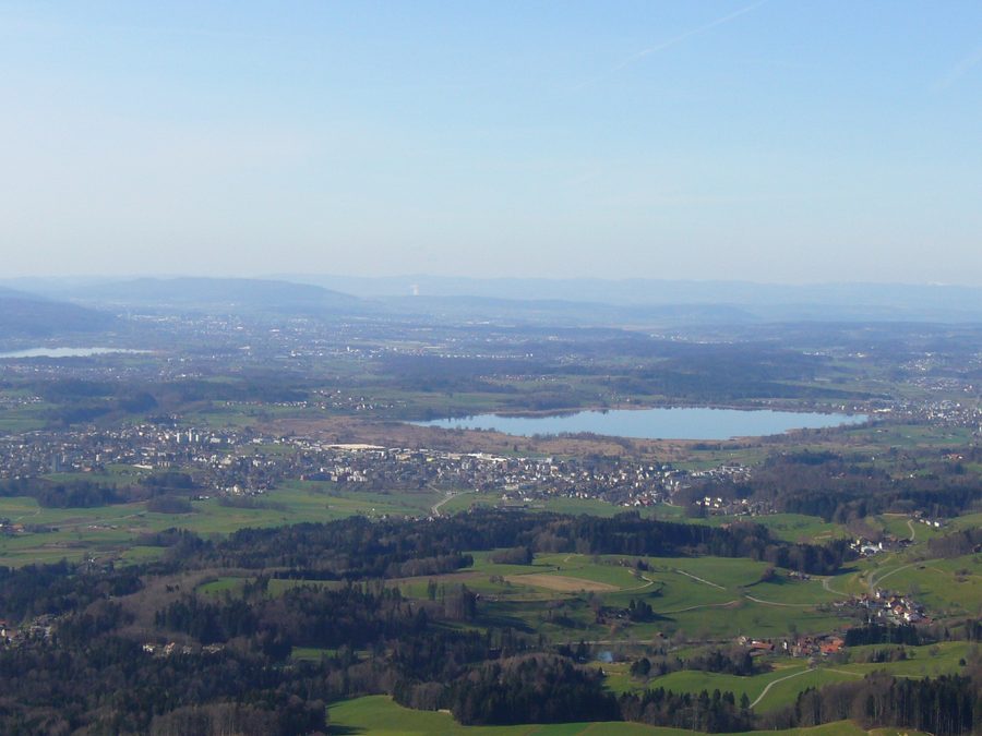Pfäffikersee con paesaggio naturale della riva nel Canton Zurigo