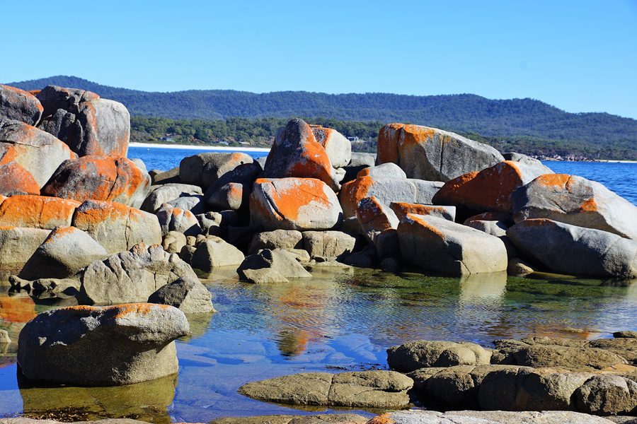 Rocce ricoperte di licheni sulla costa di Bay of Fires in Tasmania.