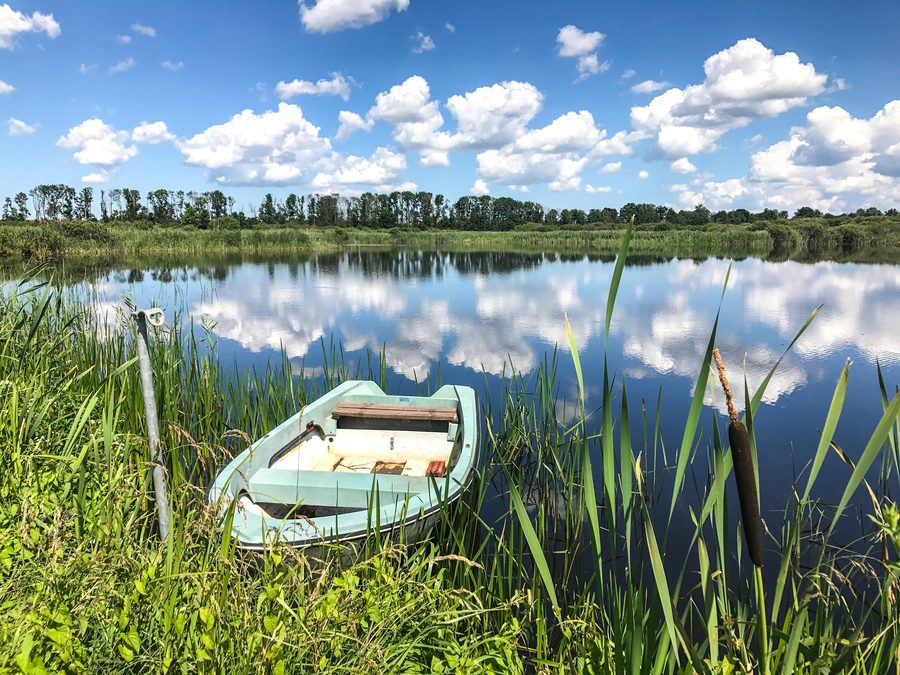 Grenztalmoor presso Tribsees in Meclemburgo-Pomerania Anteriore